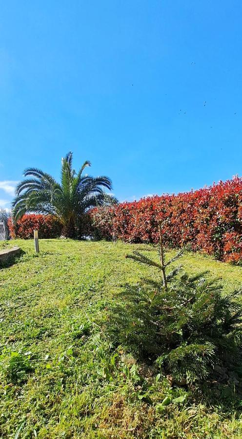 La Bella Addormentata Bed & Breakfast Chieti Eksteriør bilde